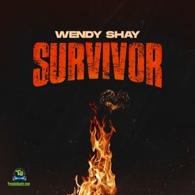 Wendy Shay - Survivor