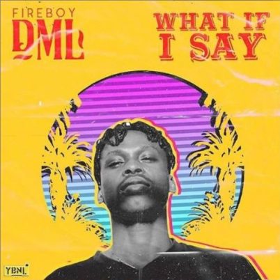 FireBoy DML - What If I Say
