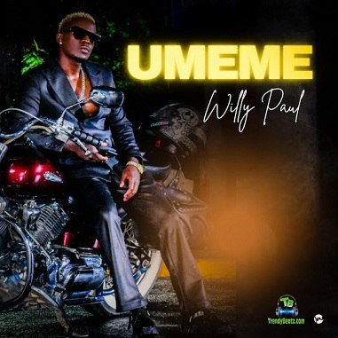 Willy Paul - Umeme