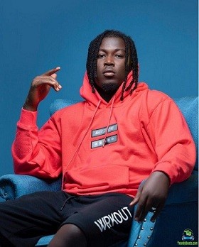 Wisa Greid - Torlor