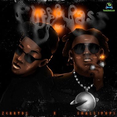 Zerrydl - Puff And Pass (Remix) ft Shallipopi