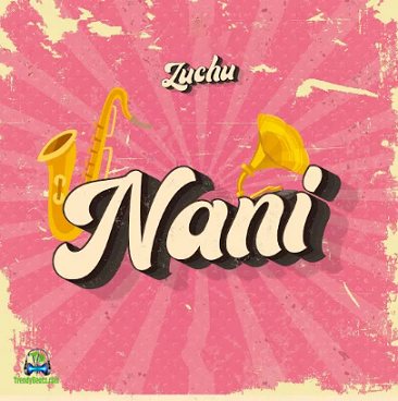 Zuchu - Nani