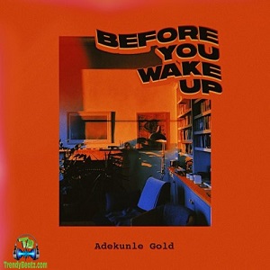 Adekunle Gold - Before You Wake Up
