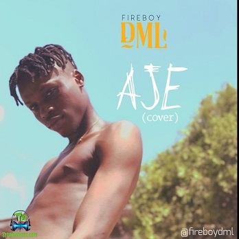 FireBoy DML - Aje (cover)