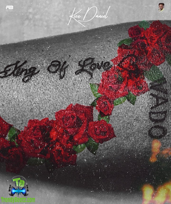 Kizz Daniel - Need Somebody